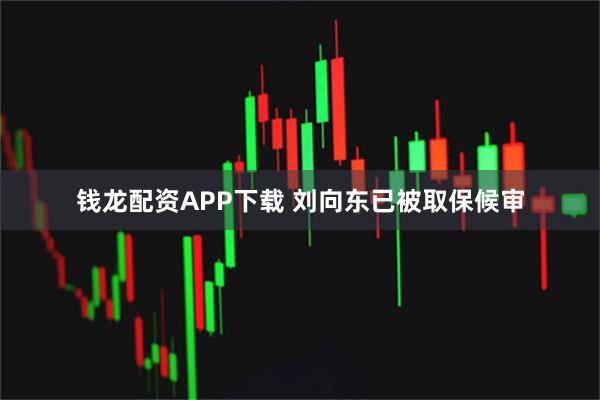 钱龙配资APP下载 刘向东已被取保候审